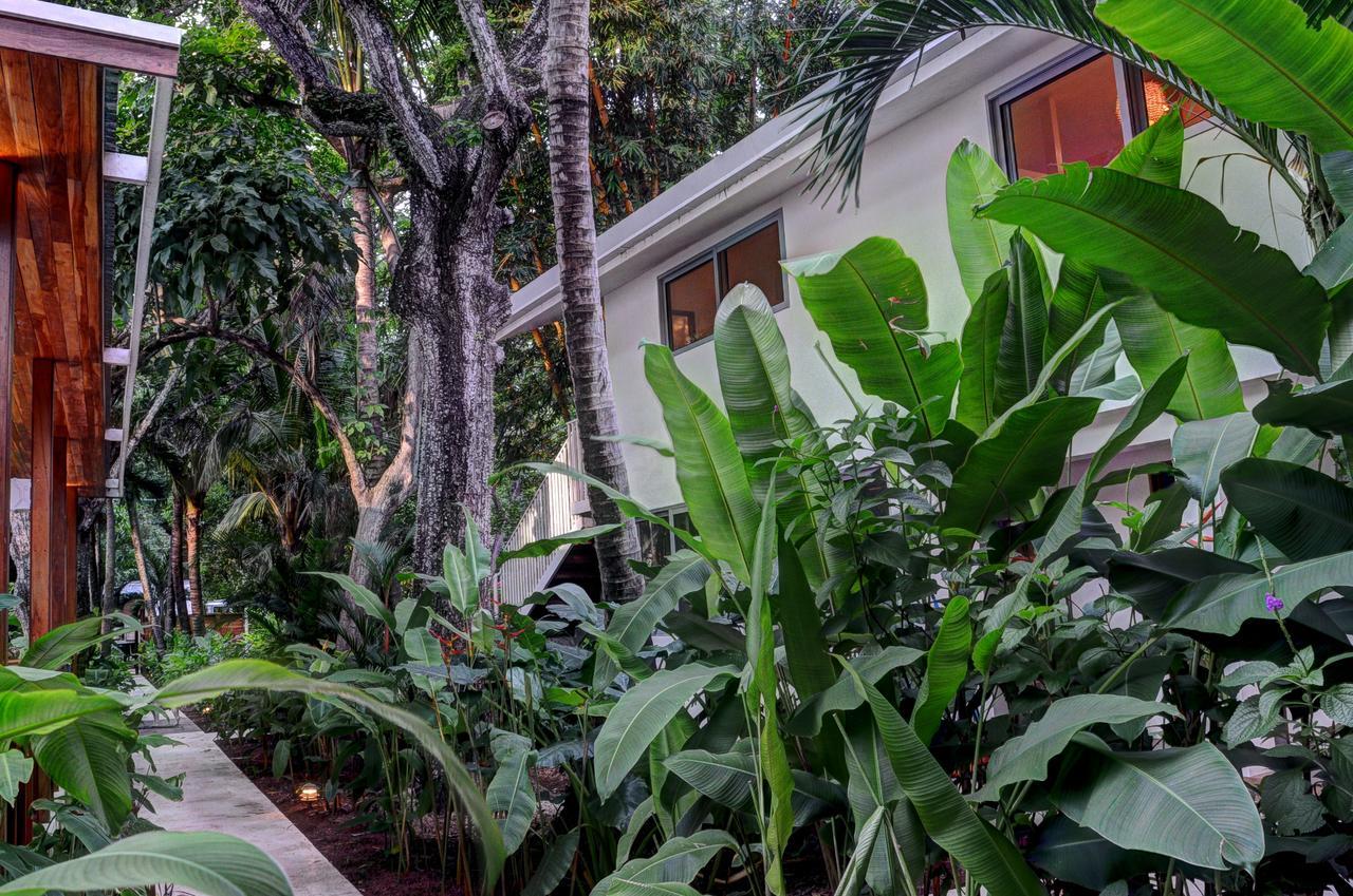 Moana Surf Resort Nosara Buitenkant foto