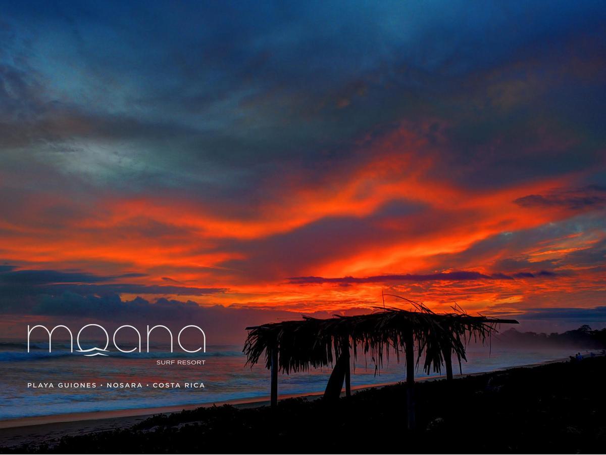 Moana Surf Resort Nosara Buitenkant foto